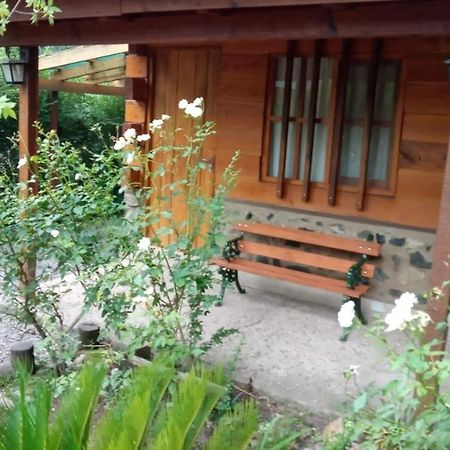 Hotel Cabanas Brisas Del Bosque Villa Ciudad Parque Exteriér fotografie
