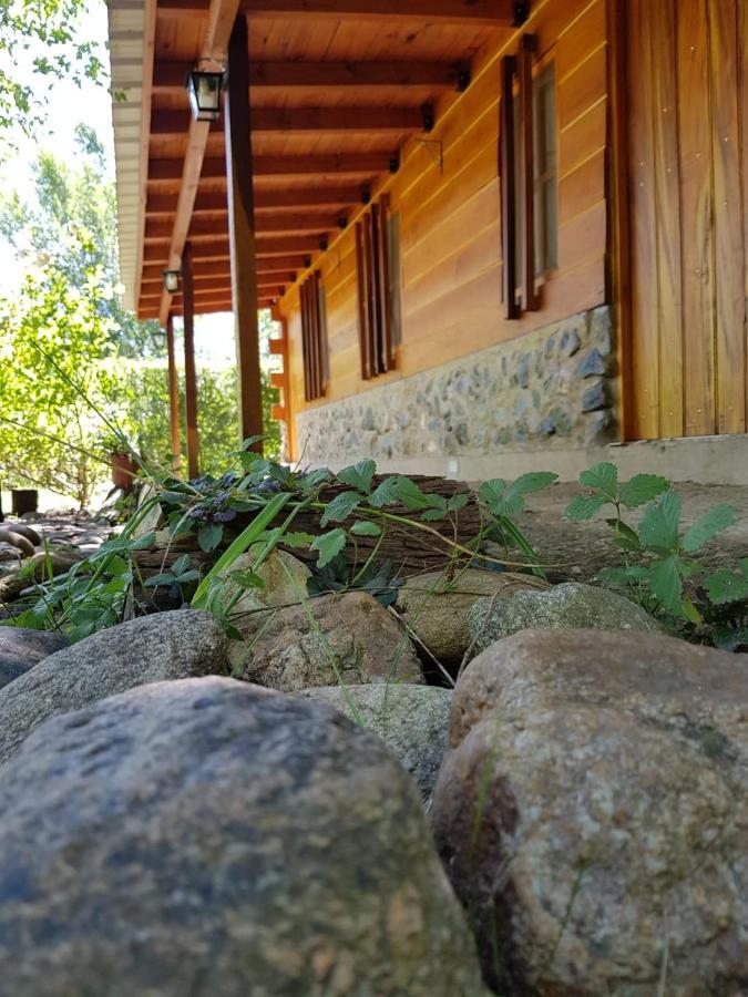 Hotel Cabanas Brisas Del Bosque Villa Ciudad Parque Exteriér fotografie