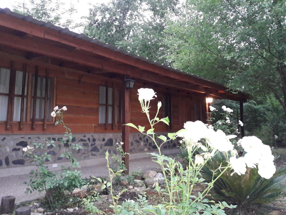 Hotel Cabanas Brisas Del Bosque Villa Ciudad Parque Exteriér fotografie