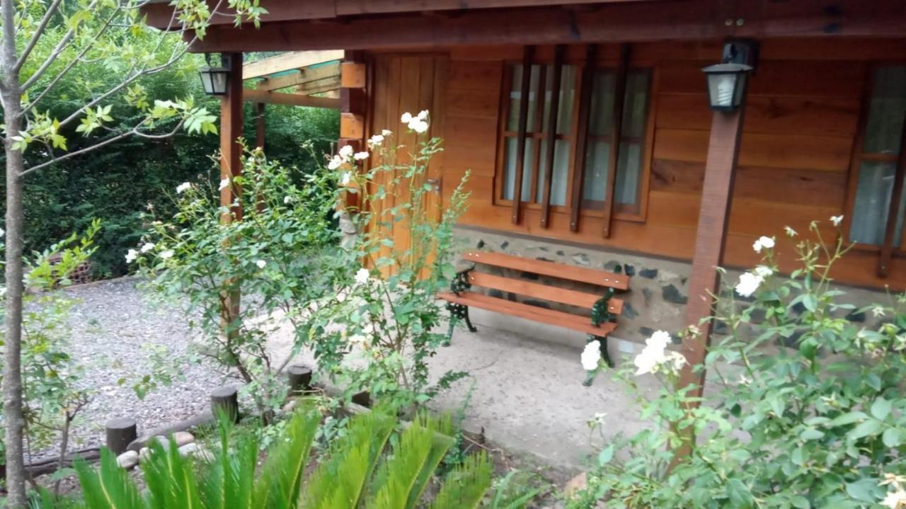 Hotel Cabanas Brisas Del Bosque Villa Ciudad Parque Exteriér fotografie
